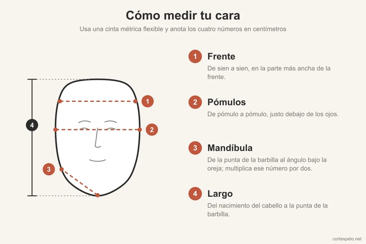 Esquema de cómo medir la cara de hombre: ancho de frente, pómulos, mandíbula y largo del rostro