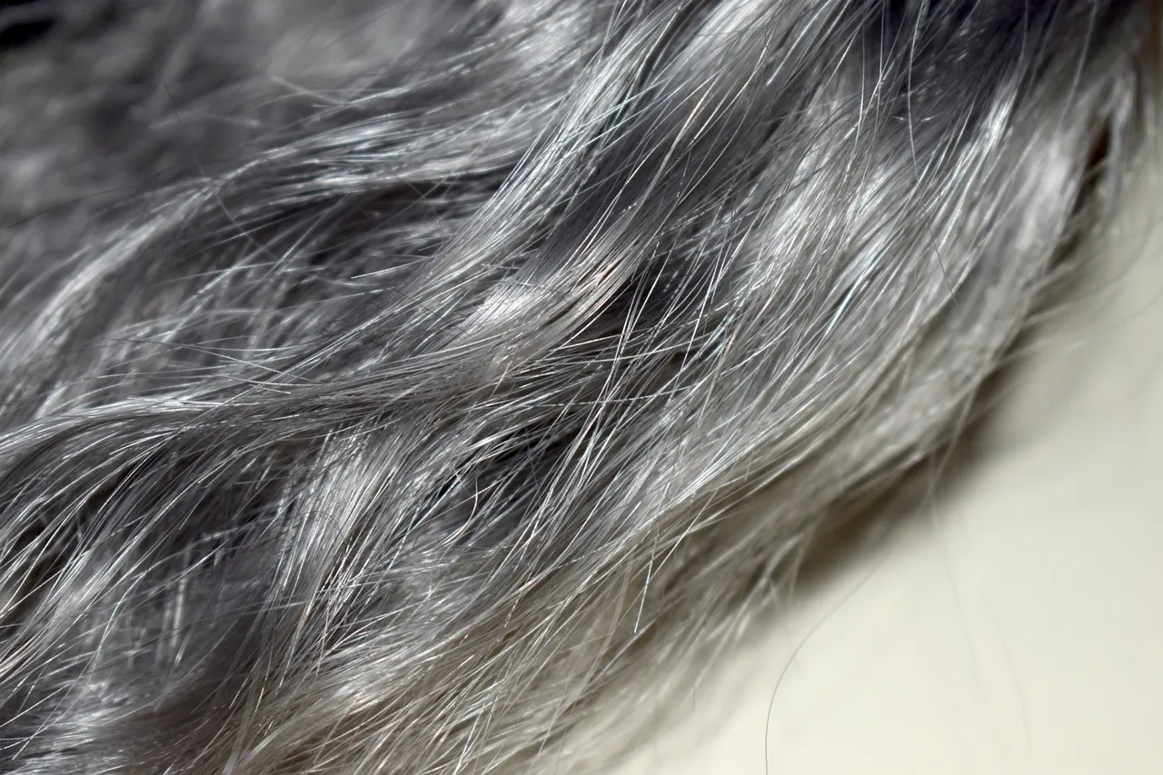 10 mejores colores para cubrir las canas en 2024